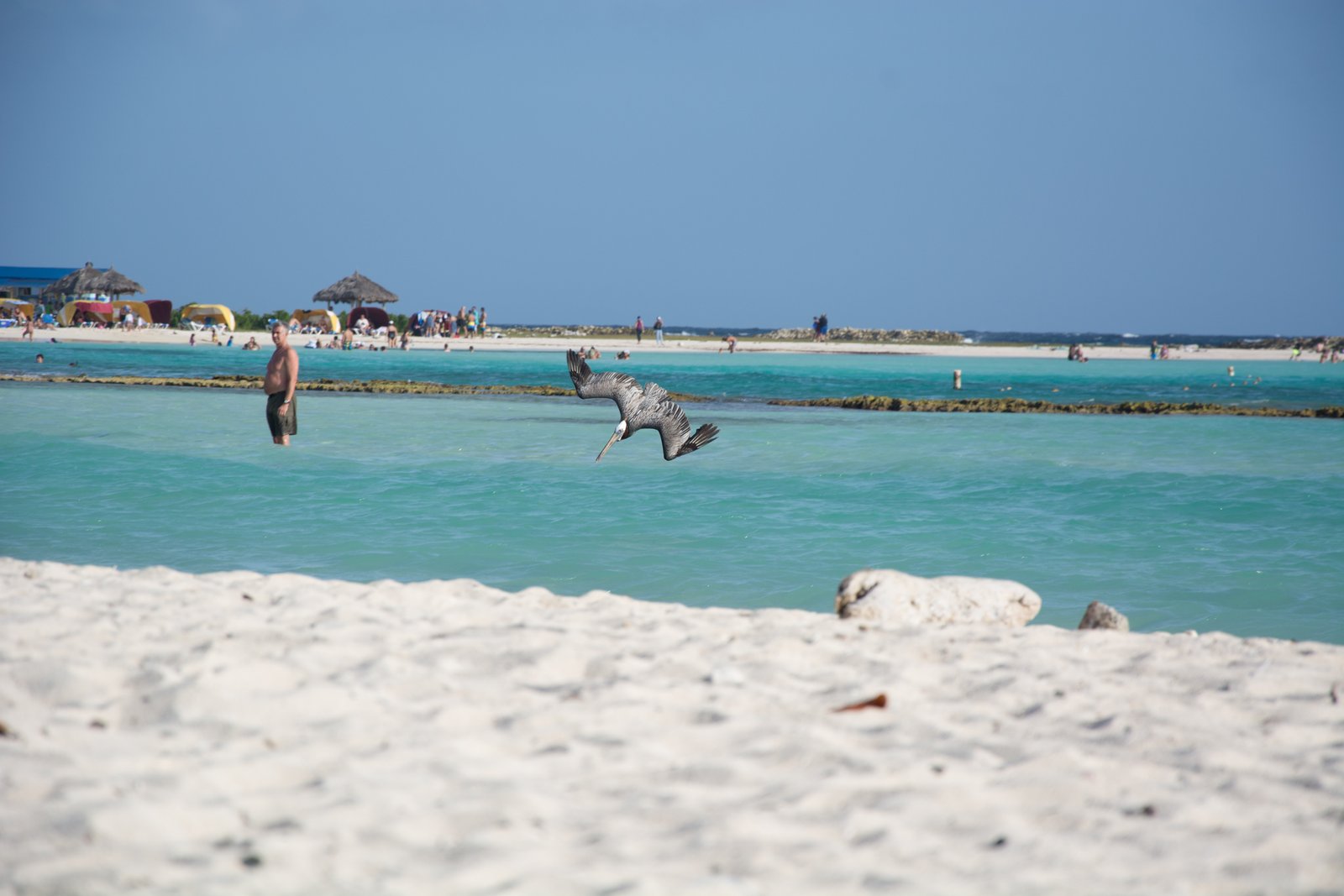 Baby Beach