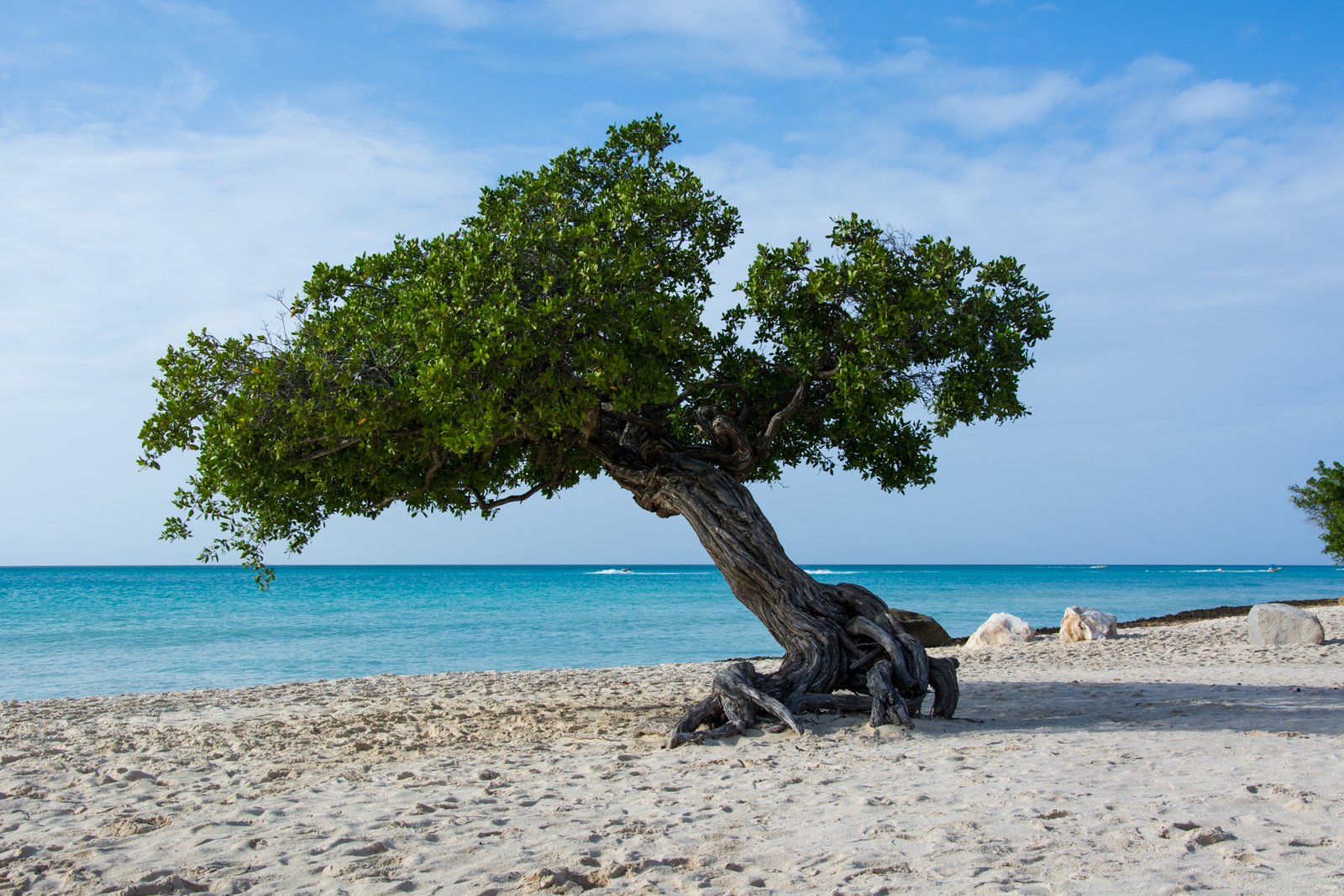Eagle Beach